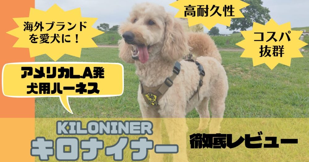 犬の海外ブランド｜おすすめハーネスKILONINER(キロナイナー)レビュー｜犬と一緒に！キャンプエンジョイセンター